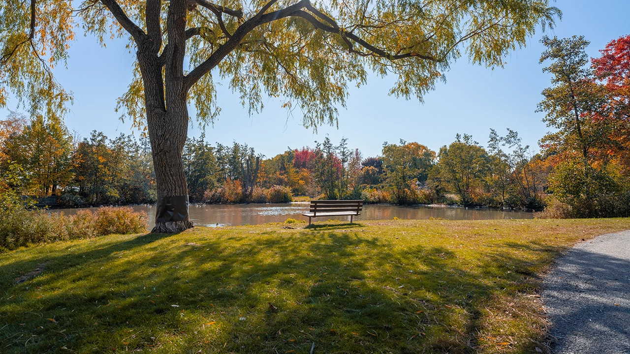 An image of an empty park bench in a park in Port Credit during October 2022.