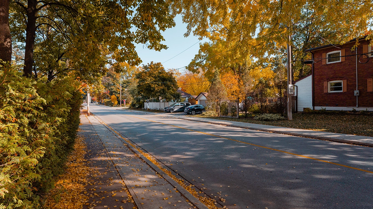 Image of a street in Port Credit during October 2022.