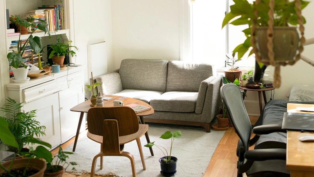 An image with great examples of small condo decorating ideas such as using plants to add colour and greenery to the space.