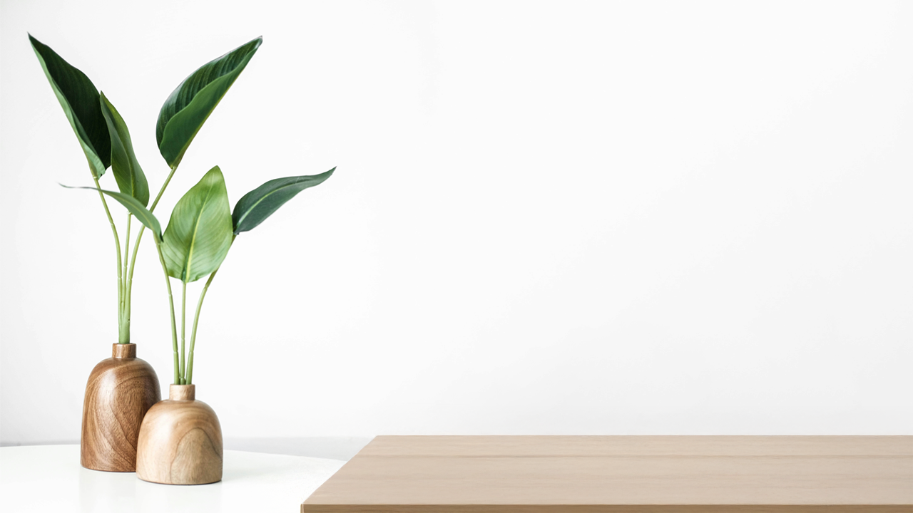 An image of a plant on a white table beside a wooden table.