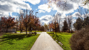 An image of a park that would normally be seen in Mississauga in neighbourhoods like Streetsville and Erin Mills.