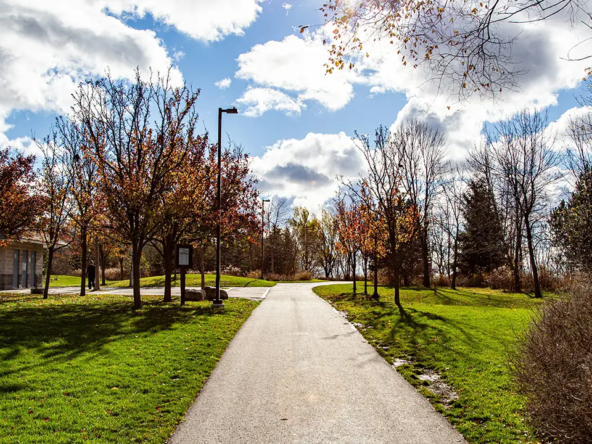 An image of a park that would normally be seen in Mississauga in neighbourhoods like Streetsville and Erin Mills.
